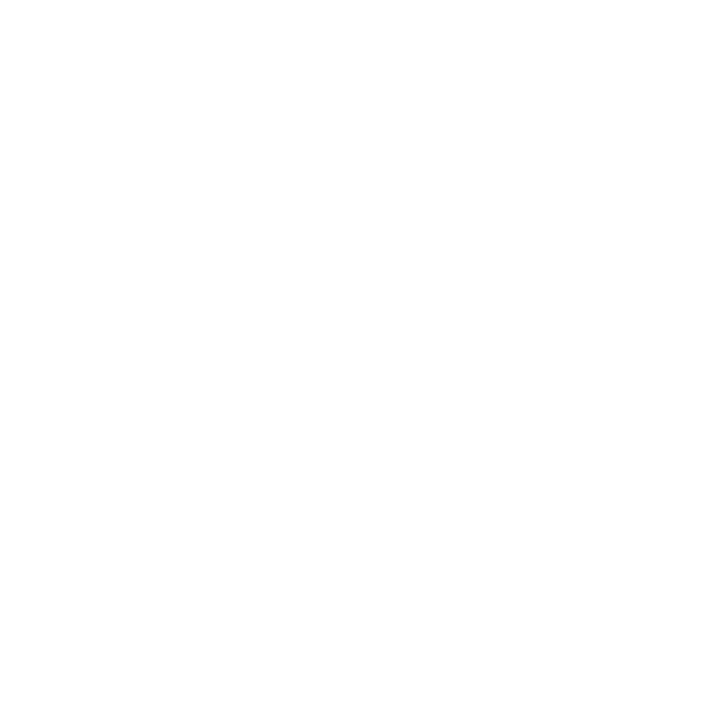logo Jacques ventura